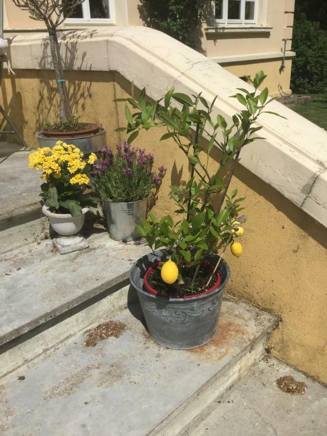 Exklusive Ferienwohnungen Im Gutshaus Viezen Bernitt 외부 사진